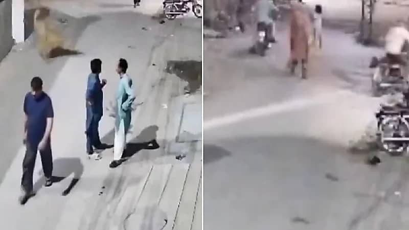 أسد يهاجم أم وطفلة في باكستان .. فيديو