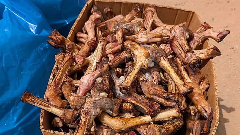 أمانة جدة تتلف 3.9 طن من اللحوم الفاسدة في موقع عشوائي