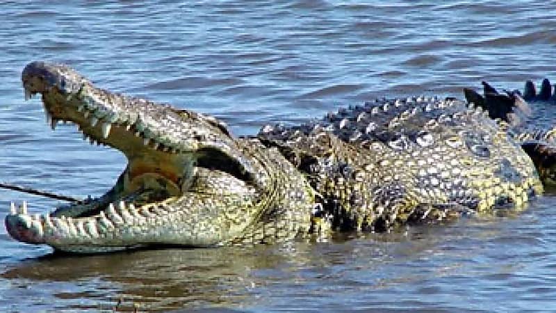 WhatsApp Image 2025-09-22 at 11.56.32 AM.jpeg