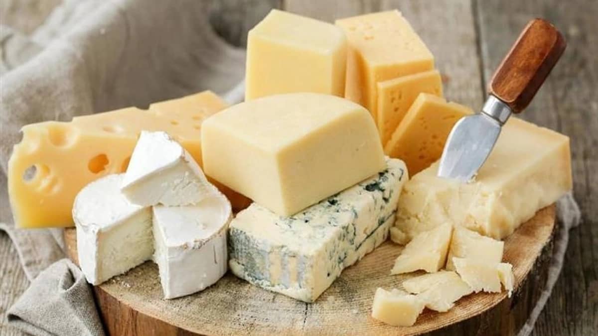 WhatsApp Image 2025-10-07 at 4.23.35 PM.jpeg