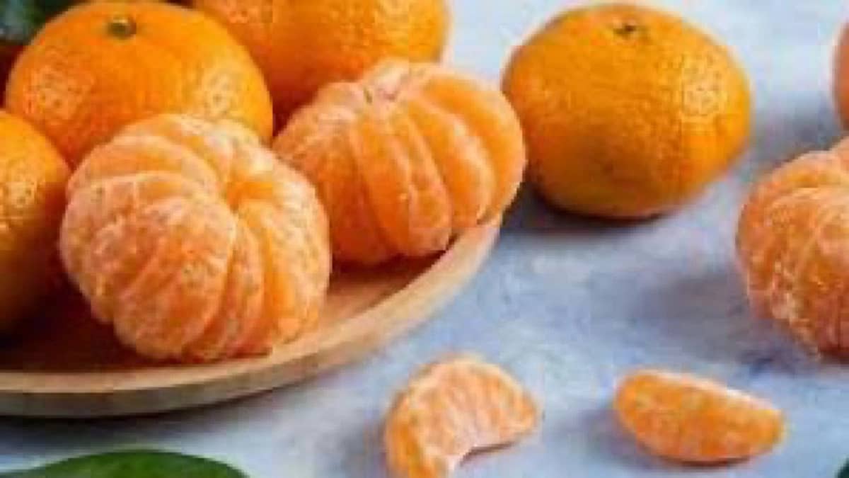 WhatsApp Image 2025-10-07 at 9.51.18 PM.jpeg