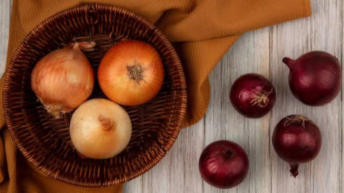 دراسة حديثة  : البصل يُخفّض سكر الدم والكوليسترول