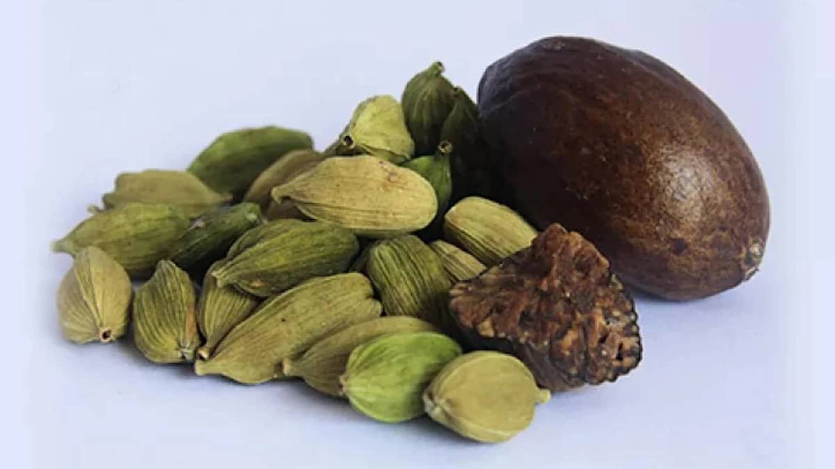 الخضيري يحذر من تناول الهيل