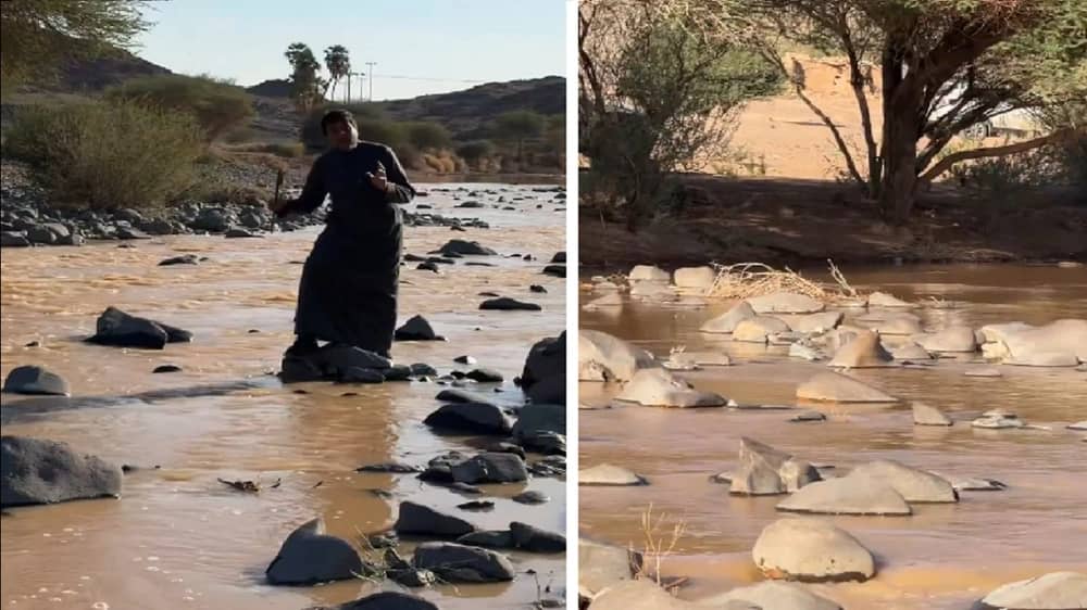 WhatsApp Image 2025-11-23 at 7.53.38 PM.jpeg