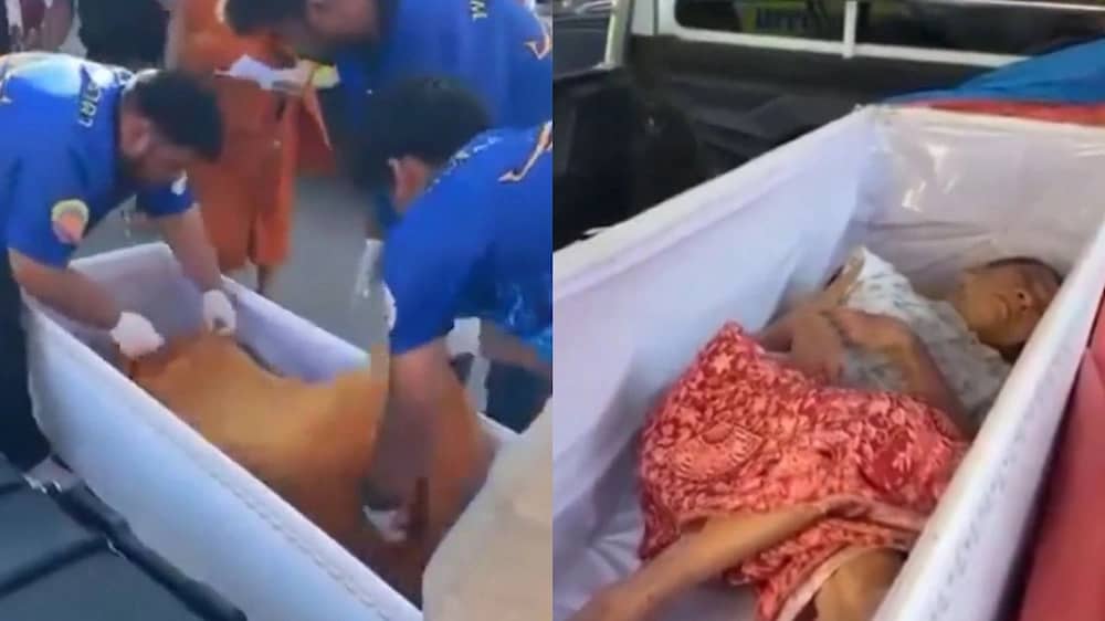 WhatsApp Image 2025-11-25 at 11.34.33 AM.jpeg