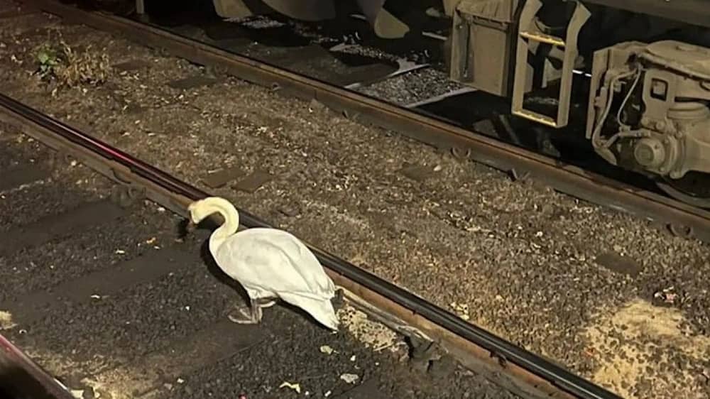 WhatsApp Image 2025-12-03 at 5.36.01 PM.jpeg