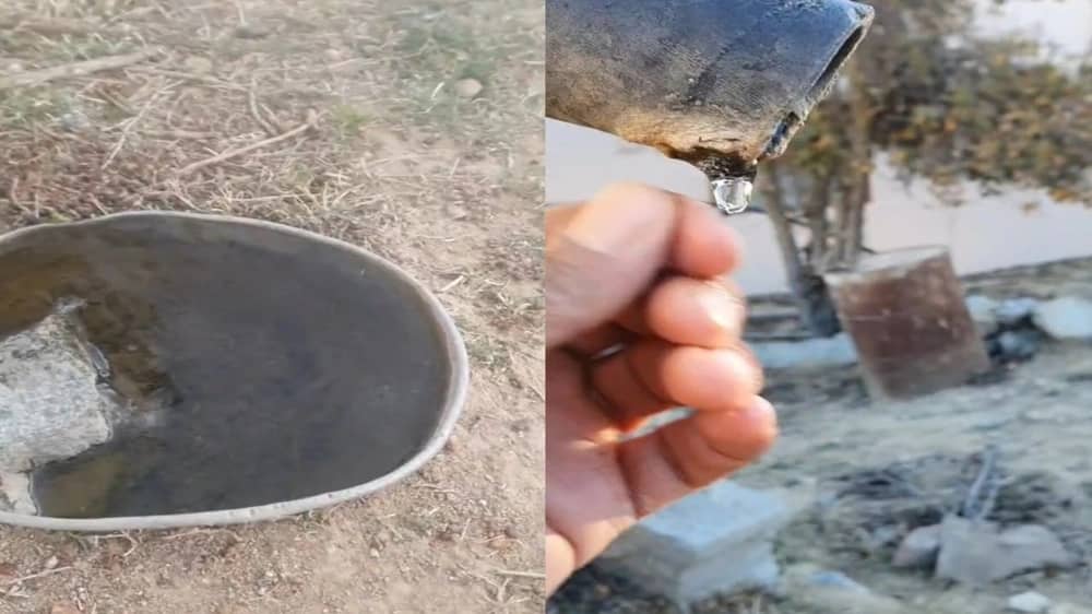 WhatsApp Image 2025-12-20 at 12.03.22 PM.jpeg