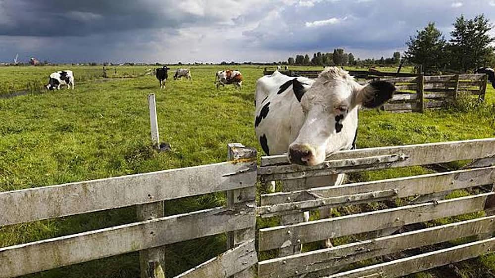 WhatsApp Image 2025-12-24 at 1.57.04 PM (1).jpeg