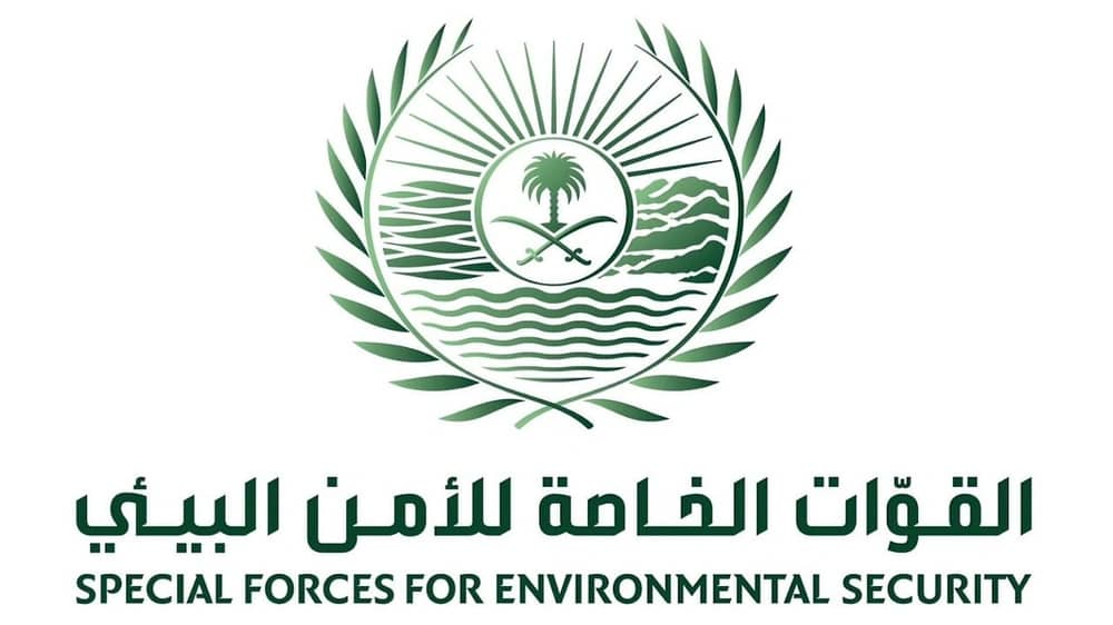 WhatsApp Image 2025-12-26 at 3.08.41 PM.jpeg