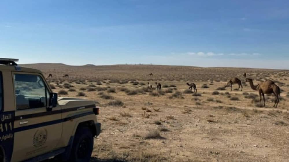 WhatsApp Image 2026-01-02 at 6.24.39 PM.jpeg