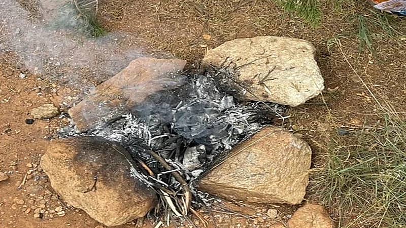 ضبط مخالفين لنظام البيئة