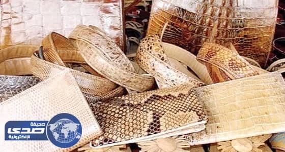 ⁠⁠⁠ضبط 537 منتجا مصنوعا من تماسيح مهدد بالإنقراض في الصين