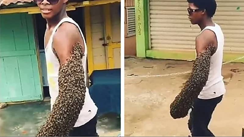 بالفيديو..شاب يحمل " مستعمرة نحل " على ذراعه ويتجول بها!