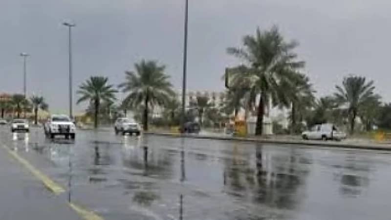 محلل الطقس: المملكة ستشهد تقلبات جوية الفترة القادمة.. فيديو