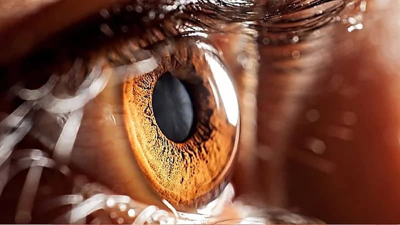 أعراض تشير لإصابتك بالعشى الليلي وعمى الألوان