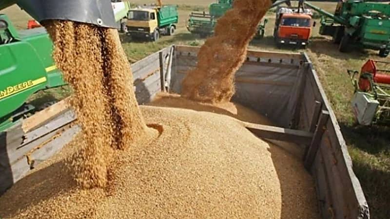 "أوكرانيا" بصدد العودة لكامل طاقتها التصديرية من الحبوب