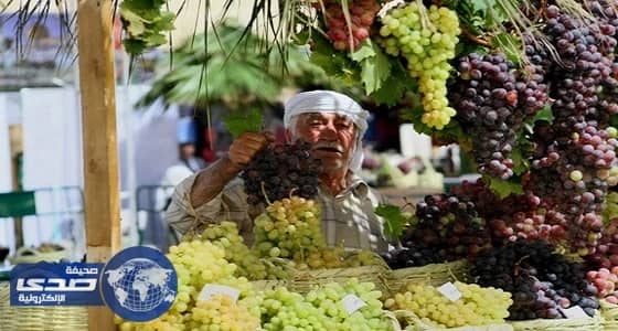 مركز بني سعد يستضيف مهرجان العنب الثاني.. غداً