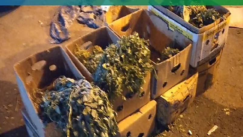 ضبط 3 طن من الخضروات الغير صالحة للاستهلاك بمكة