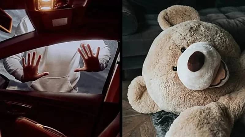 بالفيديو.. لص يتنكر في زي "دبدوب" ليهرب من الشرطة