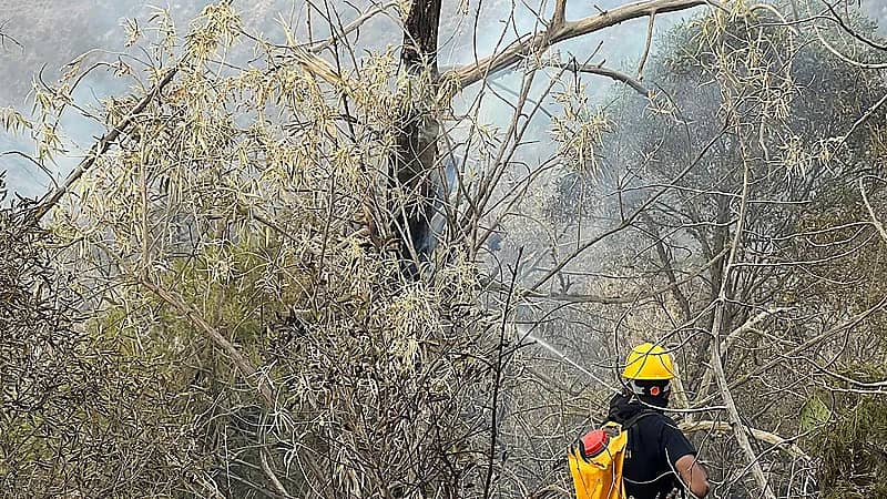 مدني جازان يسيطر على حريق في أعشاب بمنطقة جبلية
