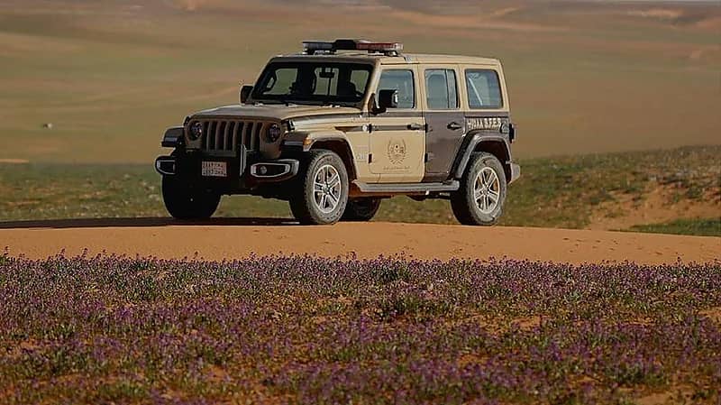 ضبط مواطن مخالف لنظام البيئة لارتكابه مخالفة رعي