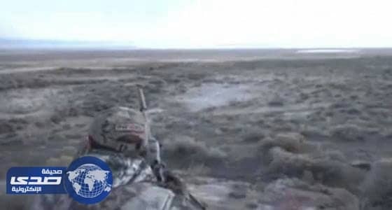 بالفيديو.. حيلة ماكرة لصيادين تمكنهم من صيد قطيع كامل من الذئاب