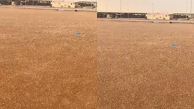 شاهد.. تساقط حبات البرد على حفر الباطن