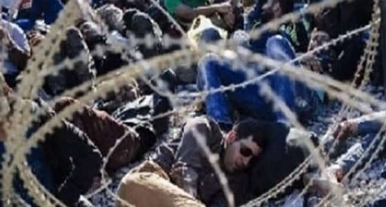 القدر أقوى أو الأحلام.. لاجئ سوري يشنق نفسه بعد ضياع حلمه