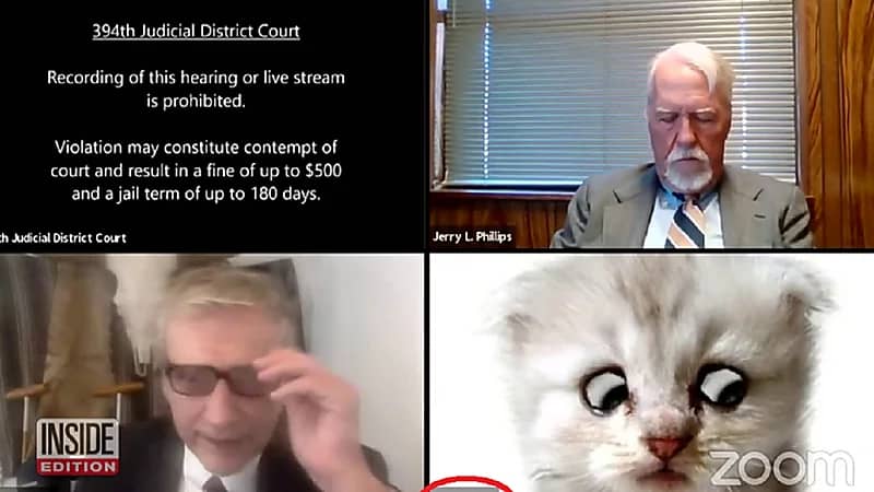 فيديو طريف لمحامي يتحدث للقاضي: هل تسمعني.. أنا لست قطة !!