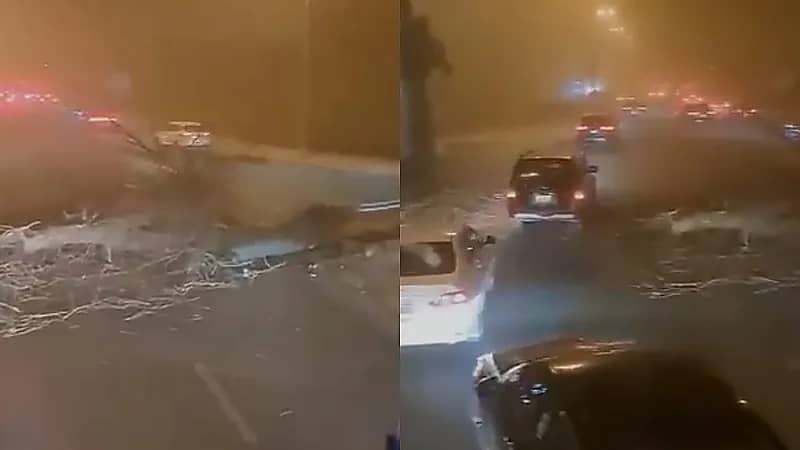 الرياح تقتلع شجرة ضخمة وتغلق شارعًا رئيسيًا في الكويت .. فيديو