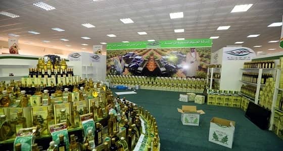 رئيس لجنة " الزيتون " :المهرجان أصبح علامة فارقة في مجال السياحة