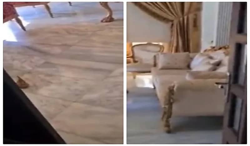 شاهد.. قناصون من حزب الله يلاحقون المواطنين الأبرياء في بيوتهم