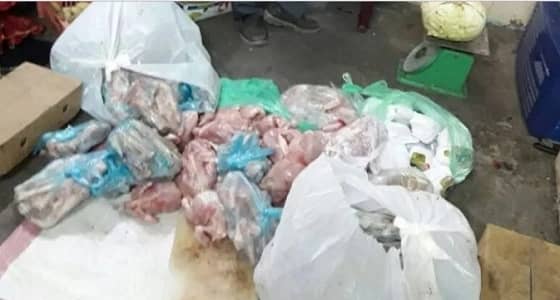 بالصور.. بلدية محافظة أبو عريش تضبط ربع طن من الدجاج الفاسد