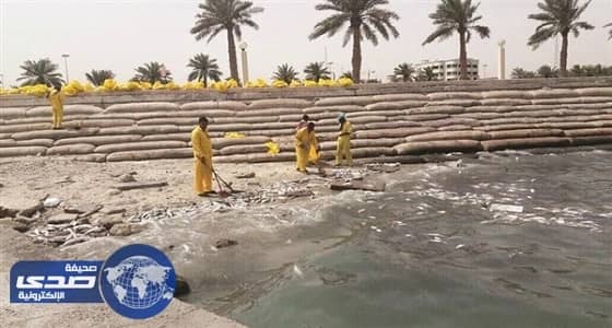وزارات الكويت تتنصل من مسؤوليتها عن «نفوق الأسماك»