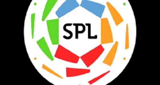 تفاصيل.. المباريات المقبلة في دوري المحترفين