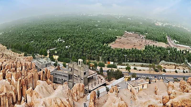 الأحساء تسجل ثالث أعلى درجة سجلت في العالم