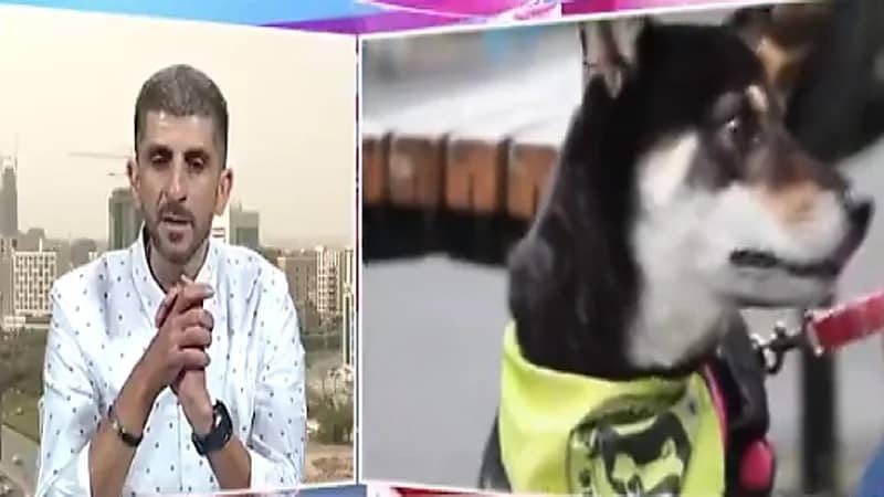 بالفيديو.. نصائح للشخص الراغب في تربية الحيوانات