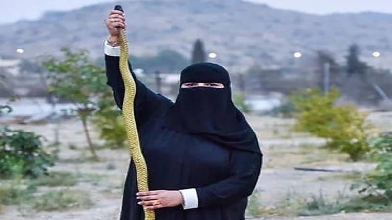 مواطنة تروي قصة اتقانها لترويض "الكوبرا"