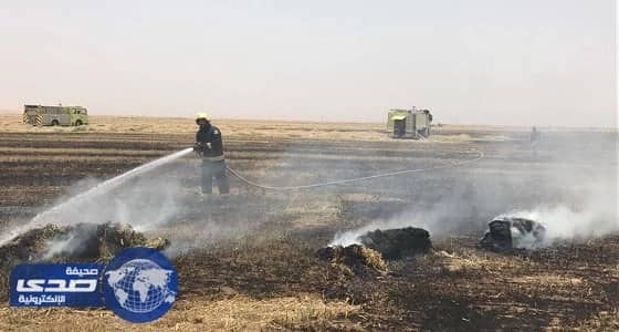 بالصور.. مدني تبوك  يُخمد حريقًا اندلع في مرزعة برسيم بطريق المدينة