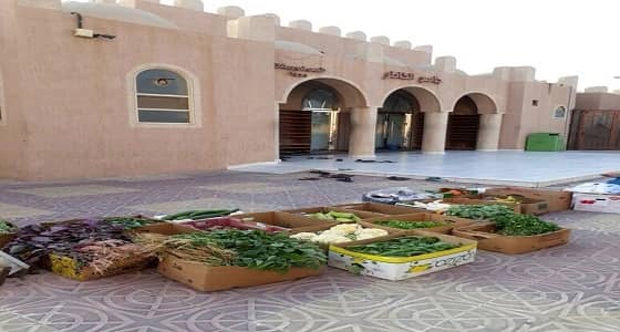 بالصور.. أمانة الشرقية تشن حملة رقابية لمنع البيع الجائل بالجبيل