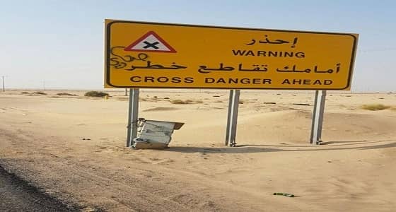 بالصور.. مجهولون يعبثون بكاميرات " ساهر " على طريق " مكة- الليث "