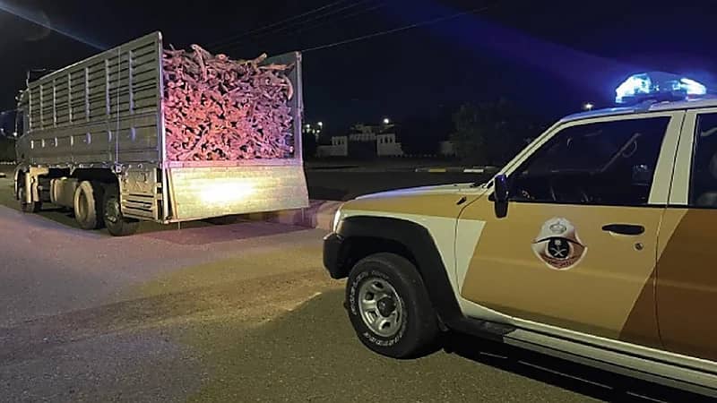 ضبط مخالفًا لنظام البيئة في المهد.. فيديو