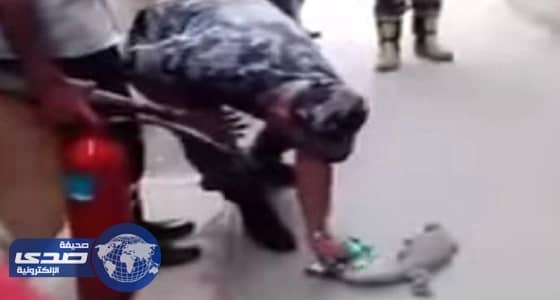 بالفيديو.. " ضب " يثير الذعر في منزل بالأردن