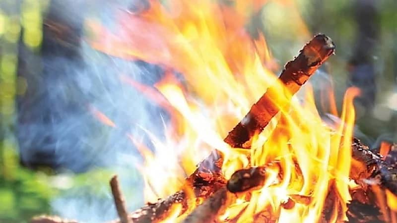 ضبط مواطن مخالف لنظام البيئة