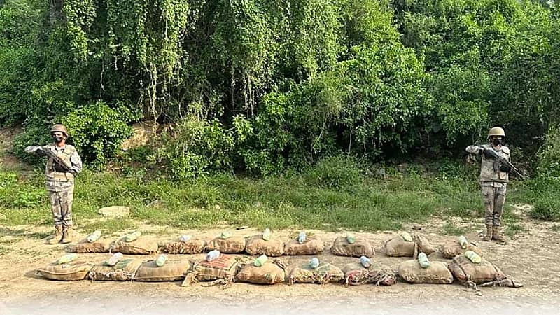 إحباط تهريب 250 كيلو جرامًا من نبات القات المخدر بجازان