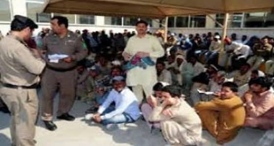 " العمل " تعلن القبض على 500 ألف مخالف خلال 3 أشهر