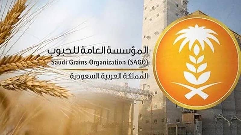 المؤسسة العامة للحبوب تطرح مناقصة لاستيراد 360 ألف طن قمح