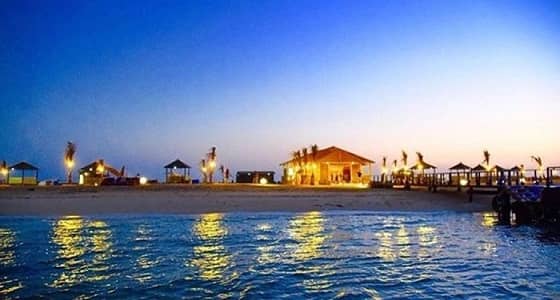 إعلاميون يطالبون بتدوير المناصب الإدارية في سياحة جازان إثر " فتاة الزفة "