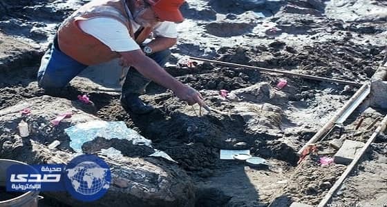 اكتشاف حفريات ترجع لـ 130 الف سنة تحفر اسم أمريكا فى التاريخ
