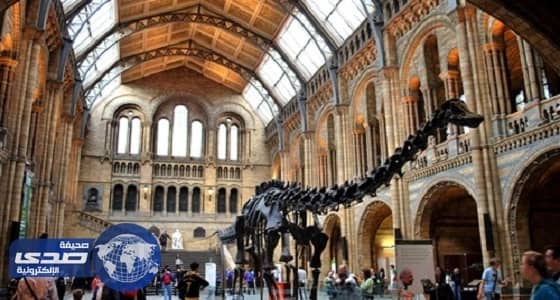 طفل عمره 10 سنوات يكتشف خطأ في أشهر متاحف بريطانيا